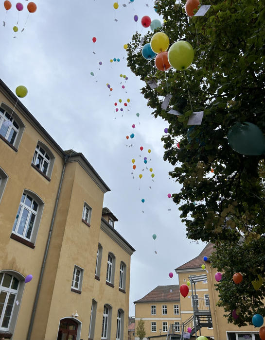 luftballons_schulgeburtstag.jpeg luftballons_schulgeburtstag.jpeg